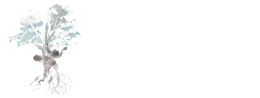 i-Dance Festival (HK) 2017